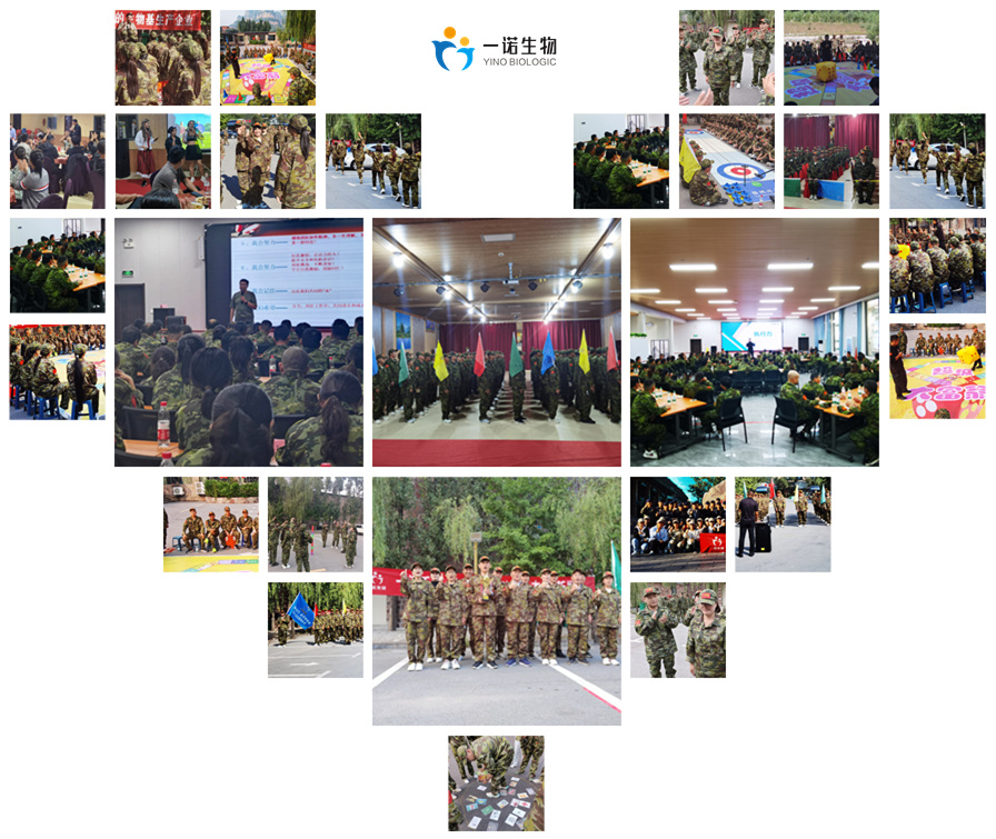 生物基戊二醇厂家,正戊醇生产厂家